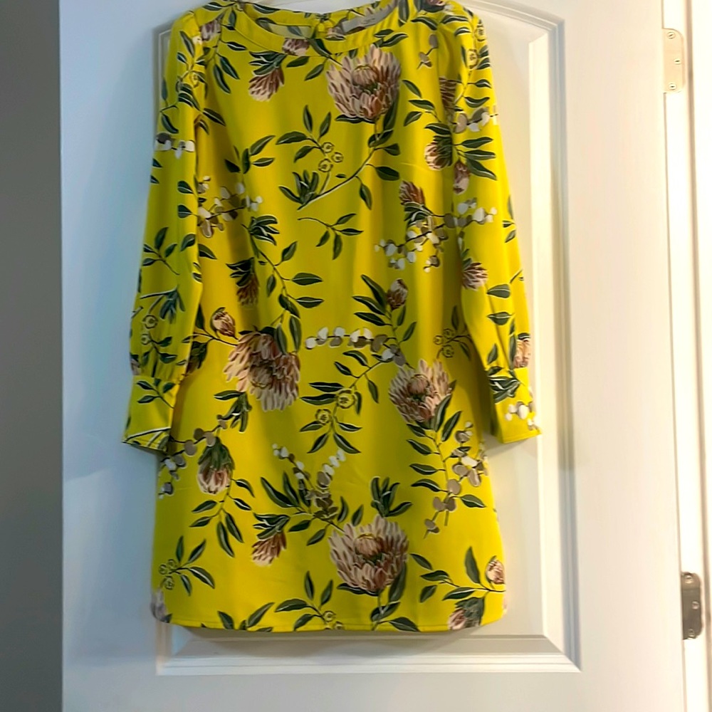 Floral print dress by Loft. Size is a 4p (this is a petite size 4)